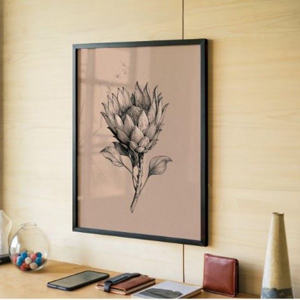Framed botanical ink drawing of a king protea flower